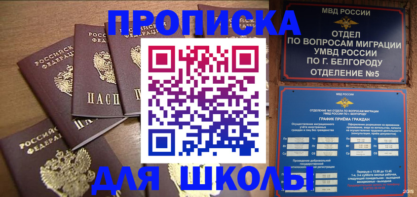 прописка гарантия в Заволжске